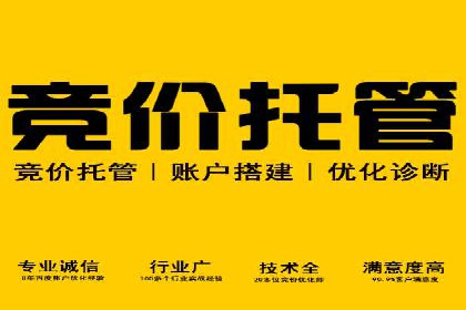 探索专业SEM托管的未来趋势与成功案例